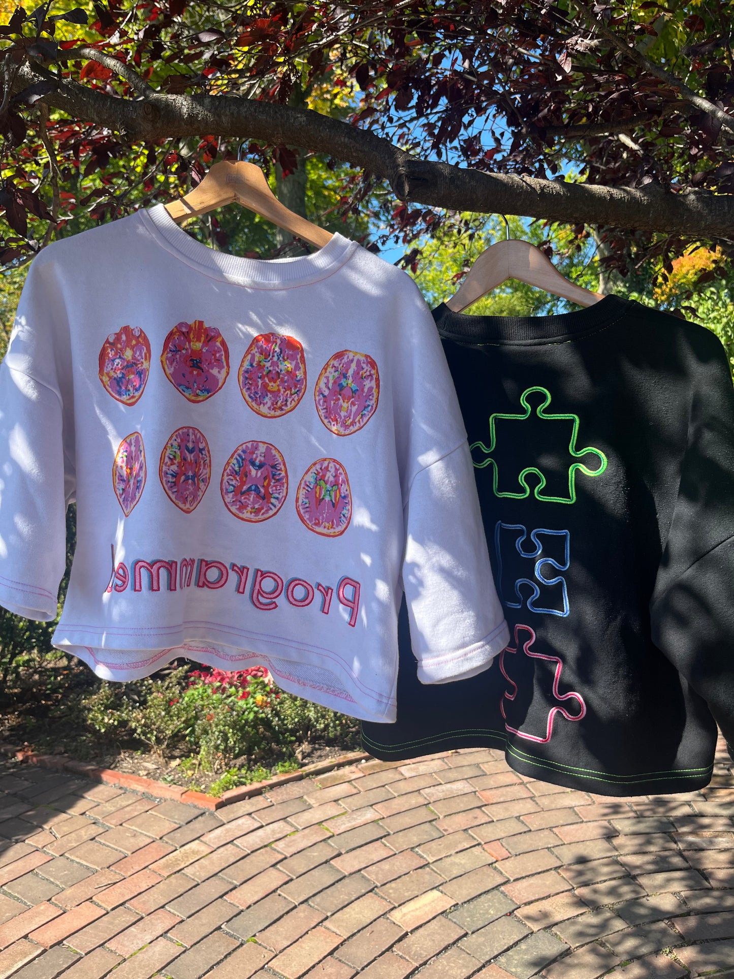 Reverse Programming Cropped Tee