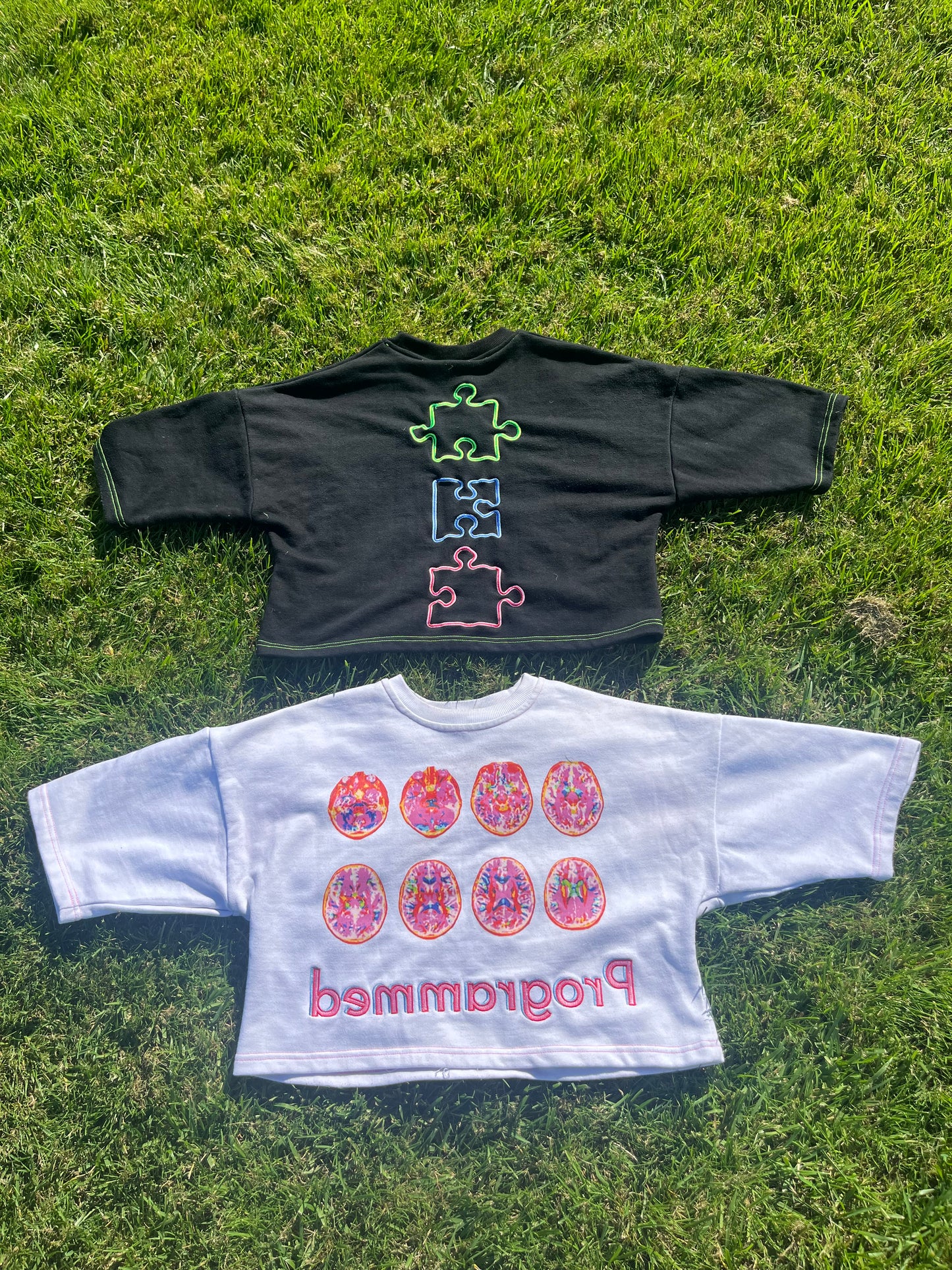 Reverse Programming Cropped Tee